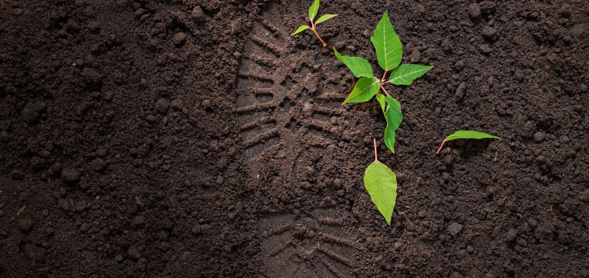 SMART-Ecologische-Voetafdruk SMART-Ecologische-Voetafdruk