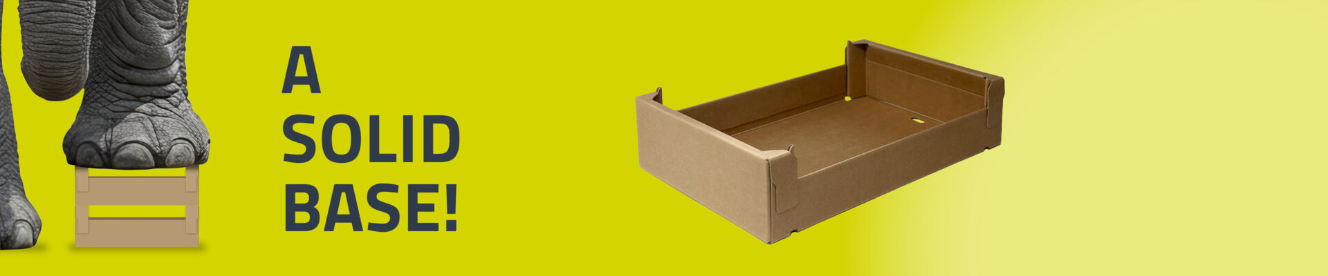 New stackable machine-erected tray for poultry, meat and fish