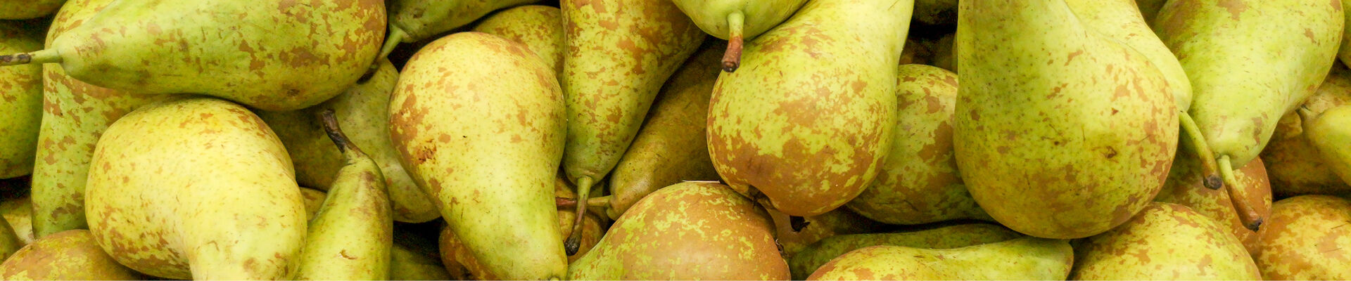 New step: export packaging for pears to China