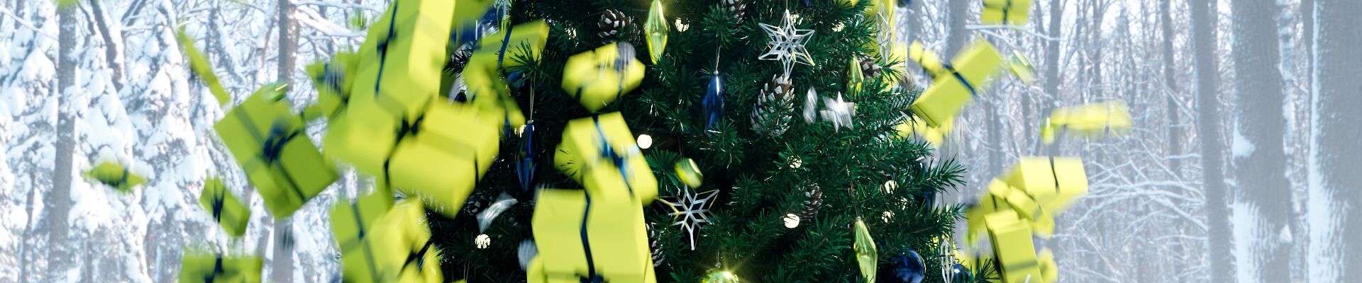 Terugblik op 2024: klaar voor een knallend 2025!