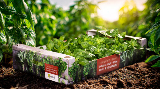 Smart Packaging Solutions aanwezig op Fruit Attraction 2025 in Madrid