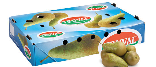 7500875-Nieuwsbericht-Perentrays-beeld-extra-c-540x300