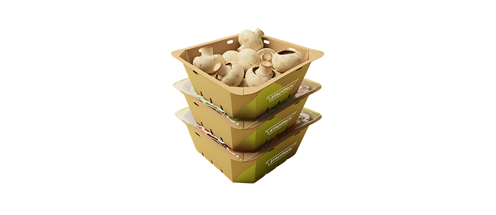 stackpack_mushrooms